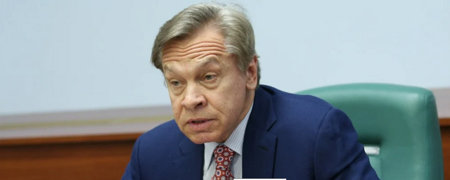 Сенатор Пушков не увидел смысла в поставках российского газа Молдавии