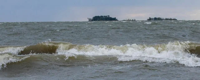 В Новосибирске спасли пятерых сёрфингистов, застрявших на острове в Обском море