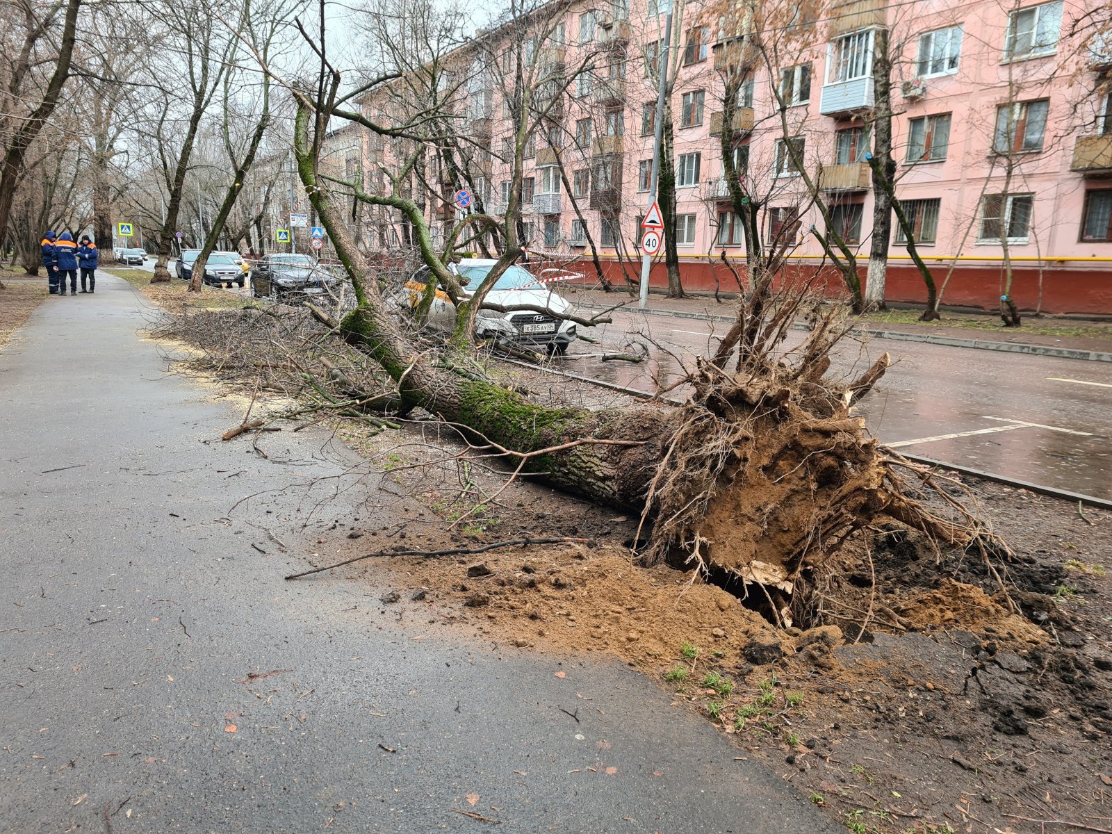 В Иркутске штормовой ветер оставил без света более 100 домов и повалил деревья