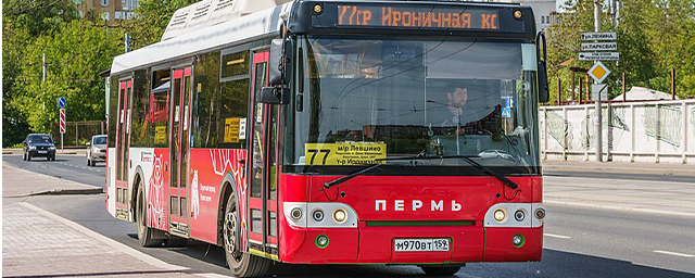 Доходность общественного транспорта Перми за восемь месяцев выросла на полмиллиона рублей