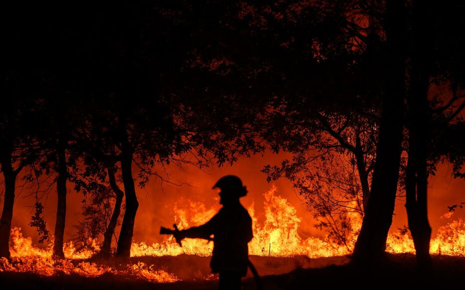 Пожары в Жиронде обойдутся государству в несколько десятков миллионов евро