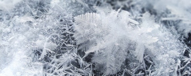 В Новгородской области в ближайшее время прогнозируются заморозки