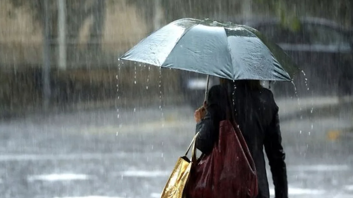Жителей Белгородской области предупредили о сильных дождях и грозах