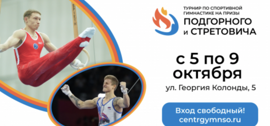 Гимнасты из пяти стран выступят на турнире в Новосибирской области