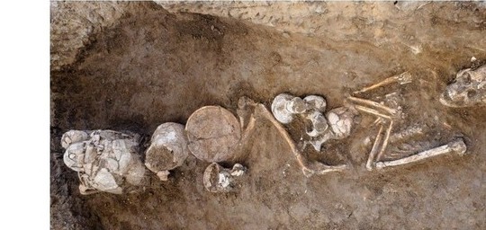 В Израиле в захоронении XIV века до н. э. нашли сосуды со следами опия