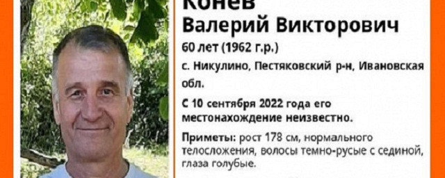 В Ивановской области вторую неделю идут поиски 60-летнего дачника
