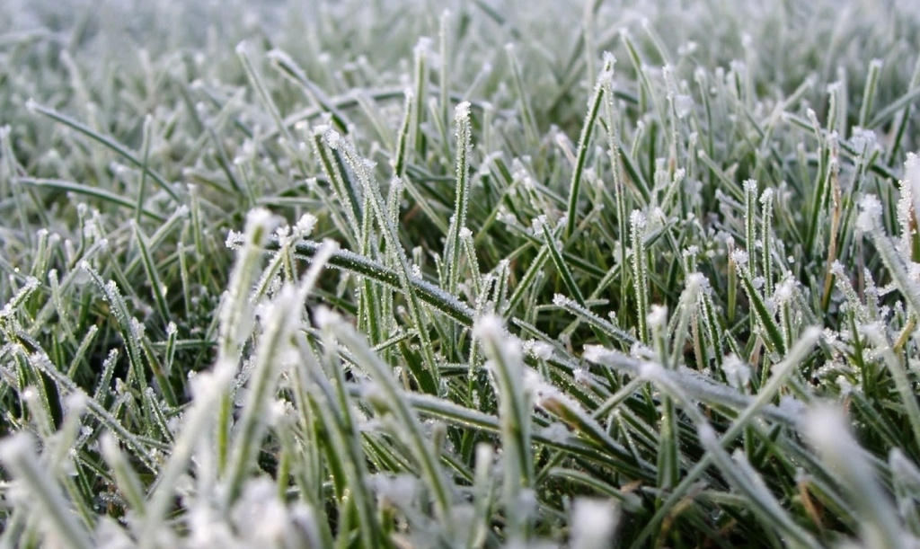 Заморозки до -2 градусов ожидаются в Рязанской области