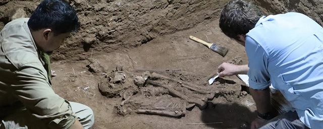 Археологи обнаружили скелет человека с ампутированной стопой возрастом 30 тысяч лет