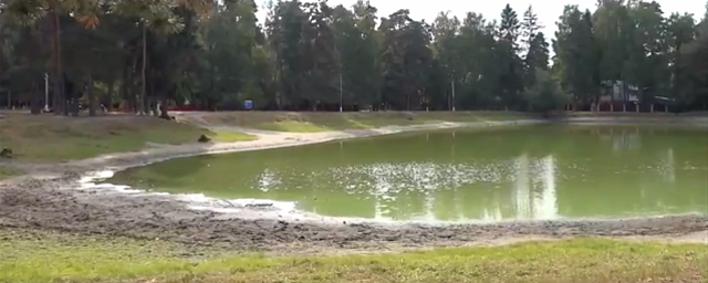 В Раменском г.о. расчистили Ильинский пруд по программе «100 прудов и озер»
