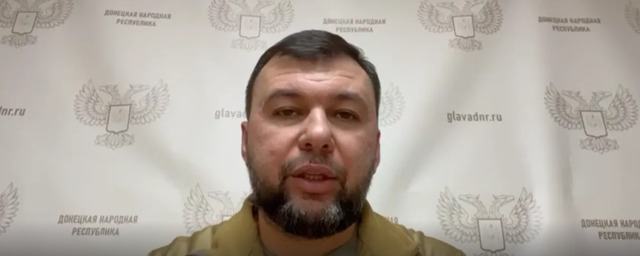 Денис Пушилин: После Соледара будут освобождены Северск и Артемовск