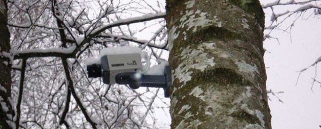 В Свердловской области камеры будут выявлять водителей, сбрасывающих мусор в лесу