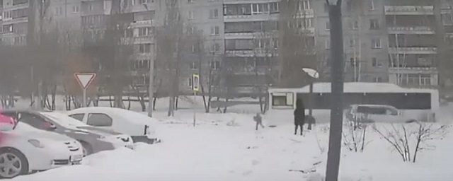В Новосибирске начата прокурорская проверка после падения девочки на пешеходном переходе