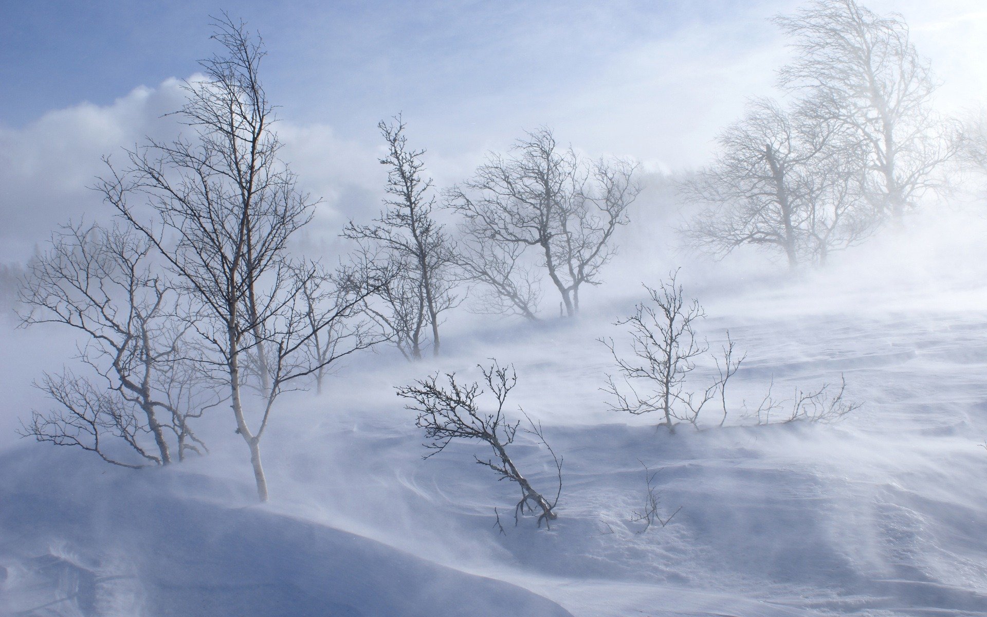 Из Йошкар-Олы с начала зимы вывезли более 110 тысяч кубометров снега