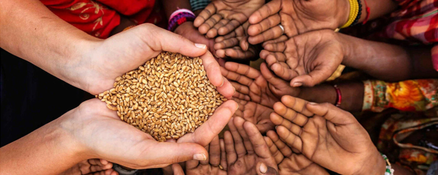 Экс-глава «ФосАгро» Гурьев: Продовольственный кризис может превратиться в глобальную катастрофу