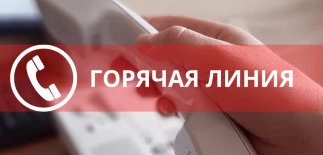 В красноярском СК опубликовали 8 номеров телефонов горячих линий
