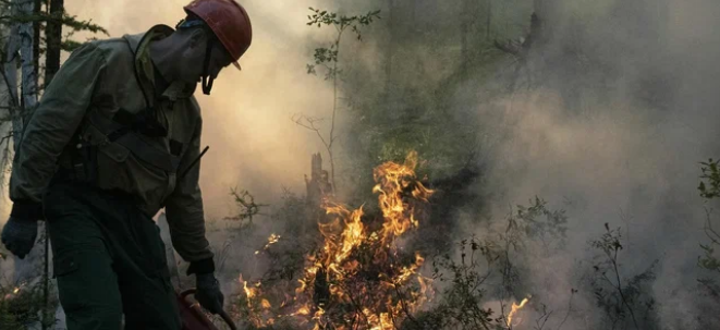 В Якутии выделят более 2,5 млрд рублей на охрану лесов от пожаров