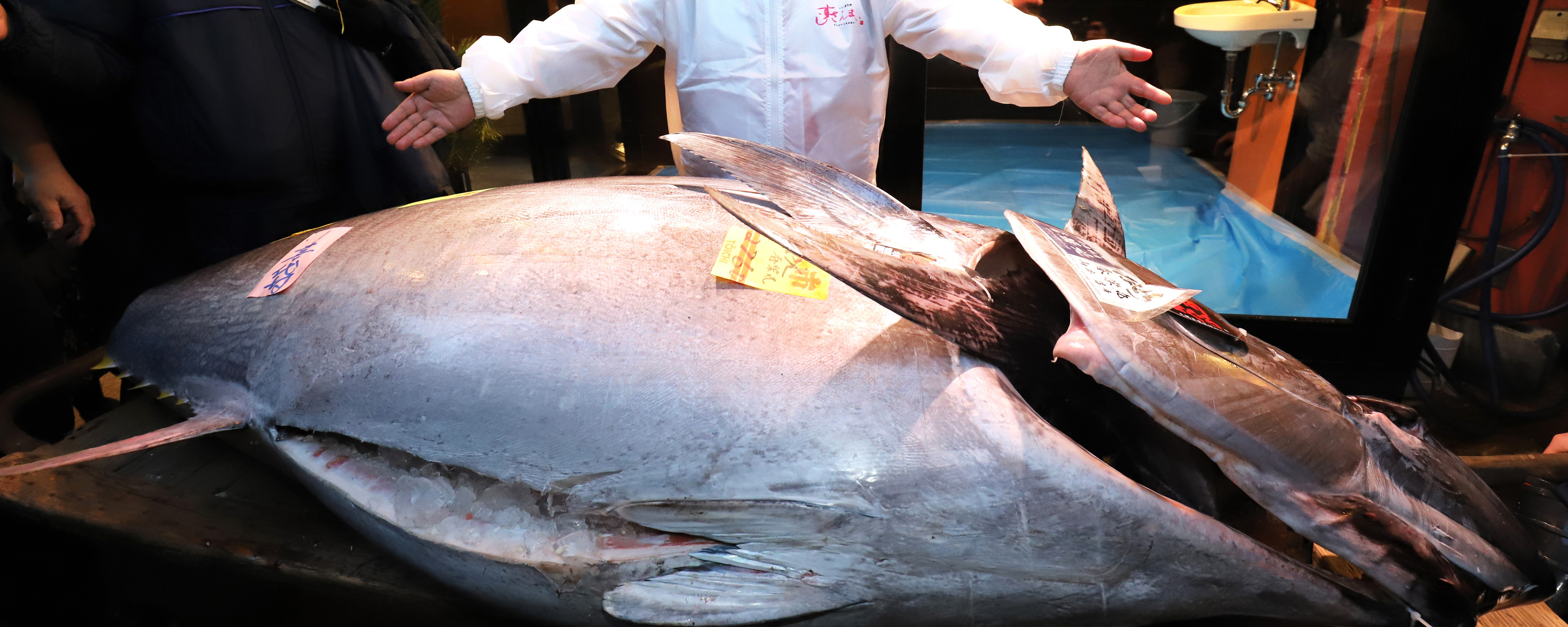 212-килограммового тунца продали за $271 тысячу на аукционе в Японии