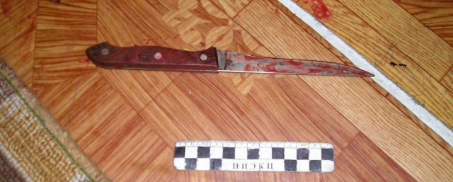 В Казани мать ударила сына ножом в плечо и убила его на глазах у родственников