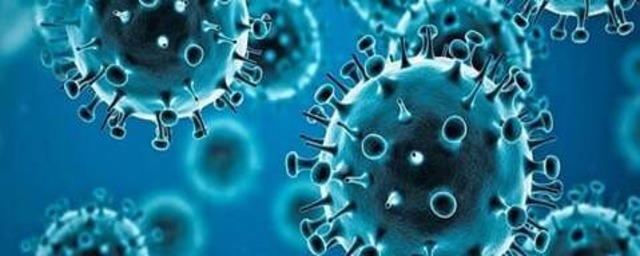 В Тверской области за последние сутки коронавирусом заразились ещё шесть человек