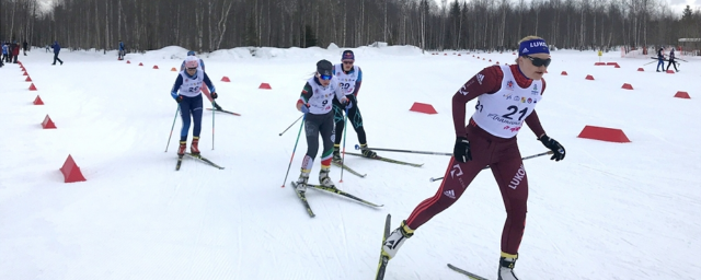 В Красногорске на выходных состоится Первенство Московской области по лыжным гонкам