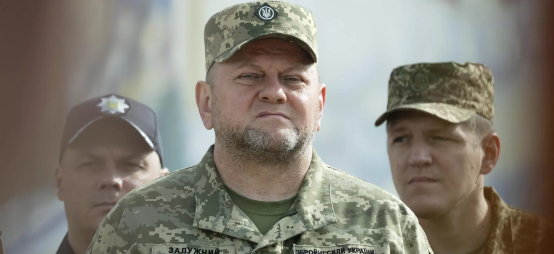 The Times: Залужный и Зеленский по-разному расценивают результат контрнаступления Киева