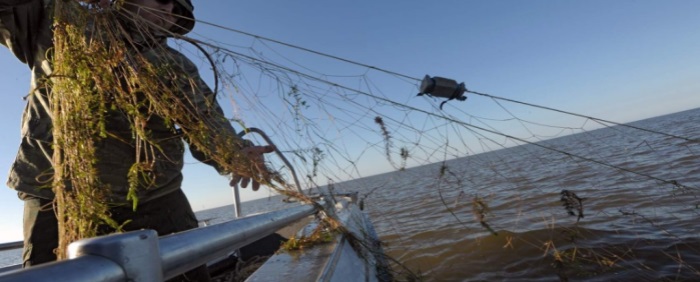 В Волгоградской области раскрыли преступную схему обогащения за счет незаконного лова рыбы