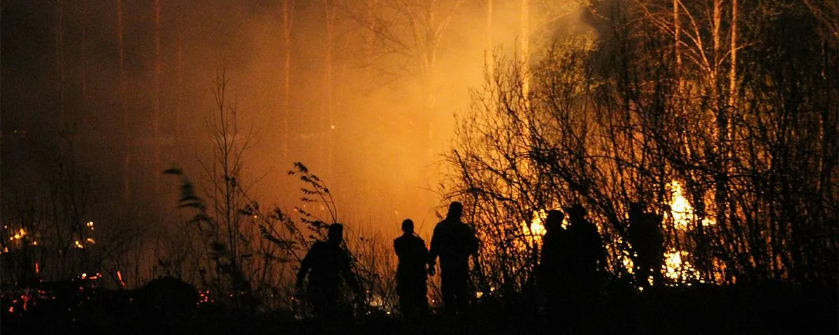 Правительство РФ компенсирует Забайкалью затраты на тушение лесных пожаров