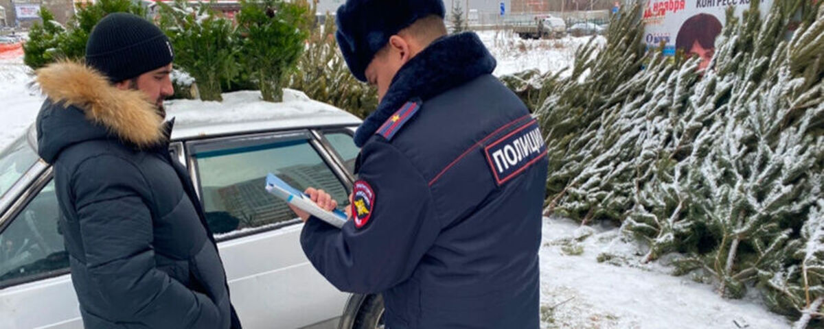 На елочных базарах в Челябинске полиция зафиксировала нарушения миграционного законодательства