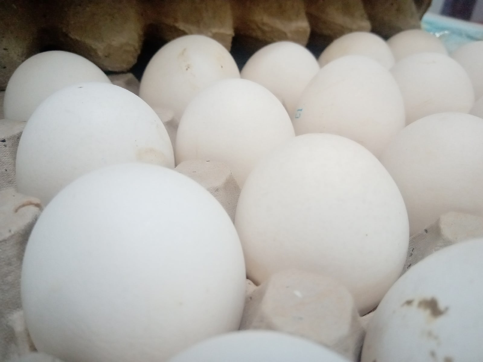 В 2023 году экспорт яиц в Кабардино-Балкарию вырос в 2,2 раза