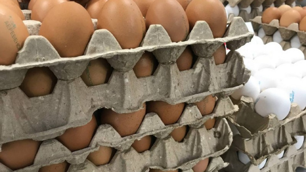 В Тульской области стоимость куриных яиц снизилась на 3,5% за неделю