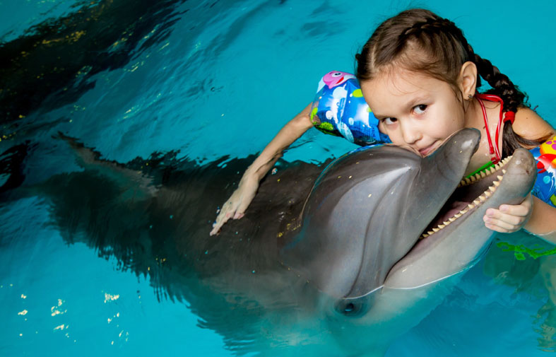 В дельфинарии Сочи за 11 лет провели 10 тысяч занятий для людей с инвалидностью