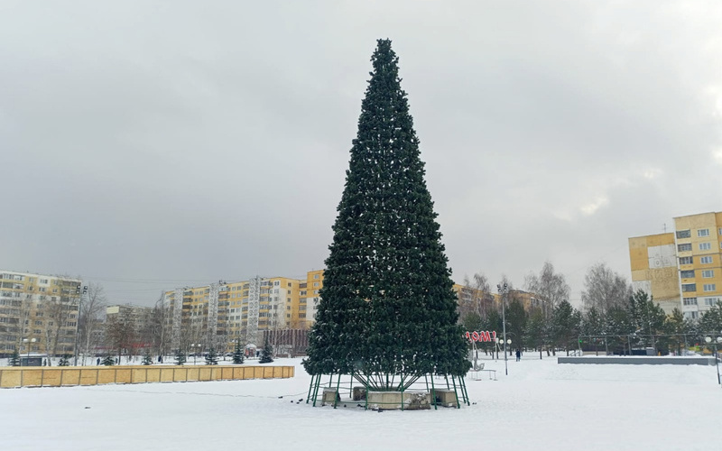 Власти Саранска приступили к подготовке Нового года, установив на центральной площади 18-метровую елку