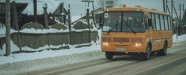 Дети из поселка Чащино в Свердловской области пешком преодолевают опасный путь до школы