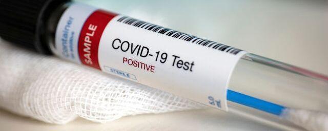 The Lancet: иммунитет после перенесённого COVID-19 сохраняется 10 месяцев