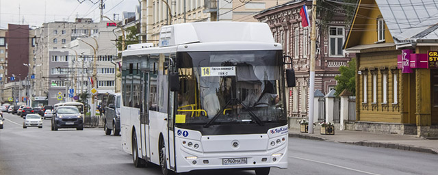 В Костроме с 1 июля на маршруты выйдут 100 новых автобусов
