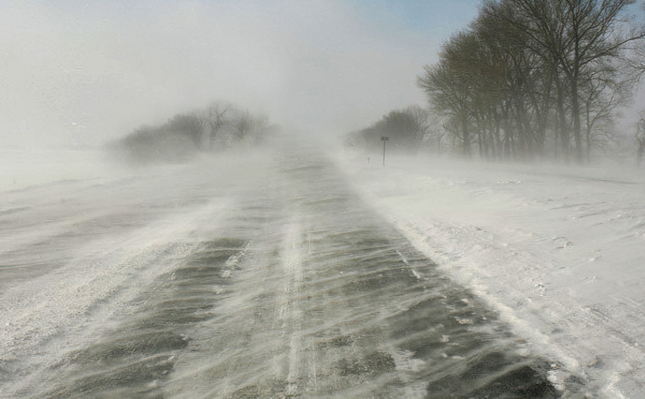 В Ульяновской области МЧС предупредило об усилении ветра до 20 метров в секунду 26 февраля