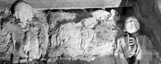 Оглахтинские мумии из Хакасии генетически близки сибирским скифам