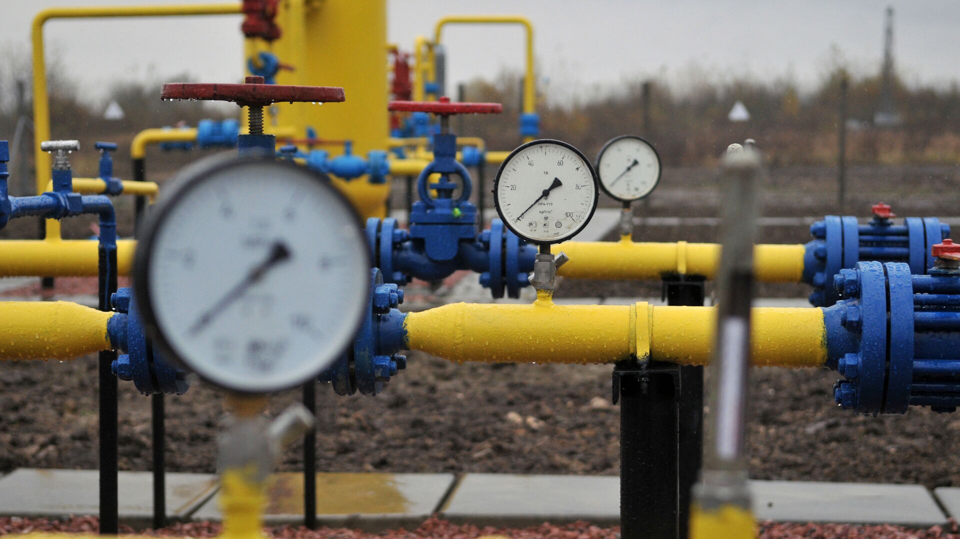 Россия рассмотрит возможность поставки газа Узбекистану с 1 марта