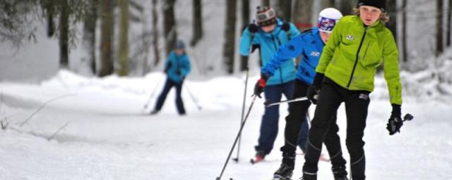 В Новосибирской области десять детей пропали во время похода на лыжах
