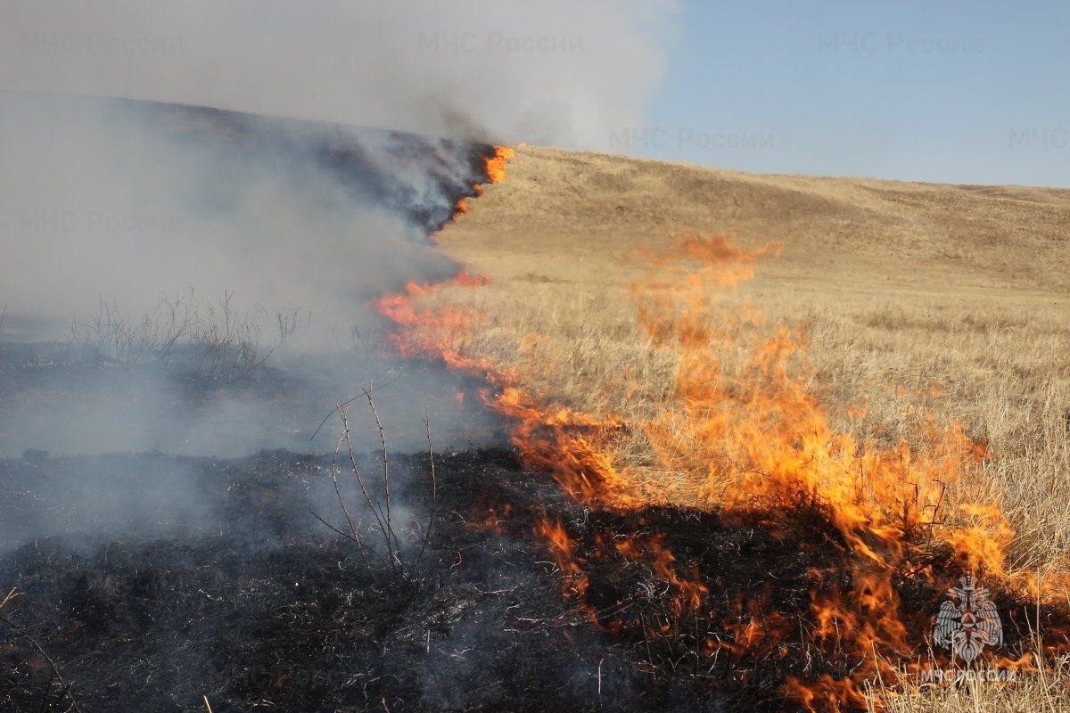 В Дагестане с 1 марта начался пожароопасный сезон