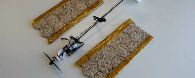 Ученые из Японии и Швейцарии занимаются разработкой съедобных роботов