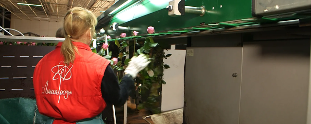 В Раменском г.о. построят складской комплекс для хранения роз