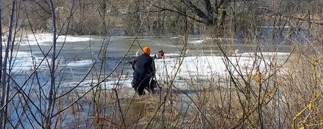 В Липецке спасатели вытащили провалившихся под лёд мужчину и женщину.