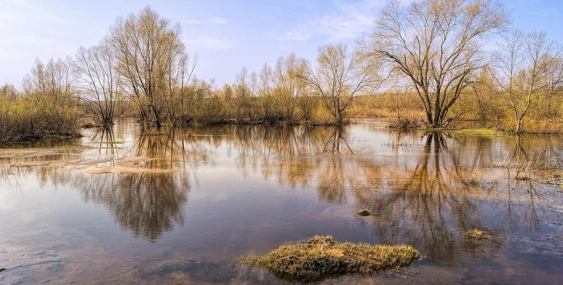 В Коми в снежном покрове запасы воды превысили норму в бассейне реки Усы
