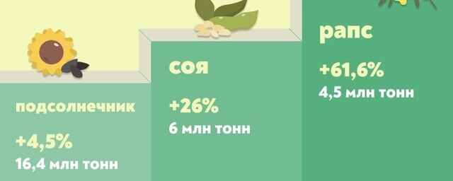 В 2022 году аграрии России собрали 29,1 млн тонн масличных