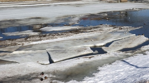 Жителям Йошкар-Олы с 21 марта запретили выходить на лед Малой Кокшаги