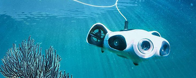 В Госдуму внесут законопроект, разрешающий силовым ведомствам бороться с подводными дронами