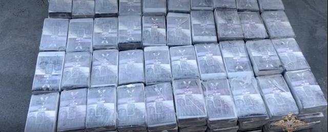 В Петербурге полицейские нашли 225 кг наркотиков в грузовике с фруктами