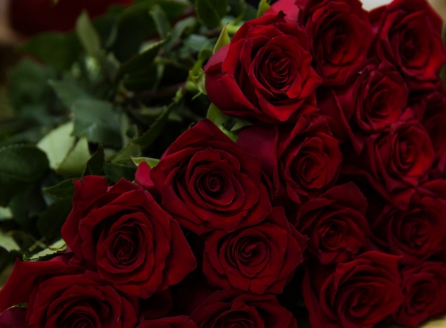 В честь Международного женского дня в Казахстан завезли 18 миллионов роз