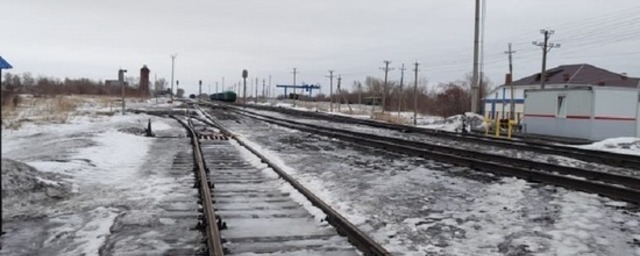 В Алтайском крае грузовой поезд насмерть сбил 64-летнего мужчину